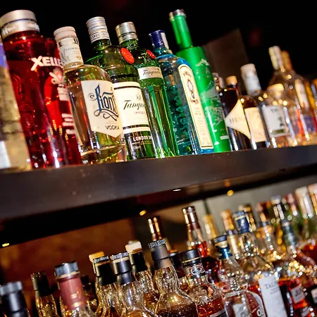 艾姆班德喜酒店 4* 格赖瑙